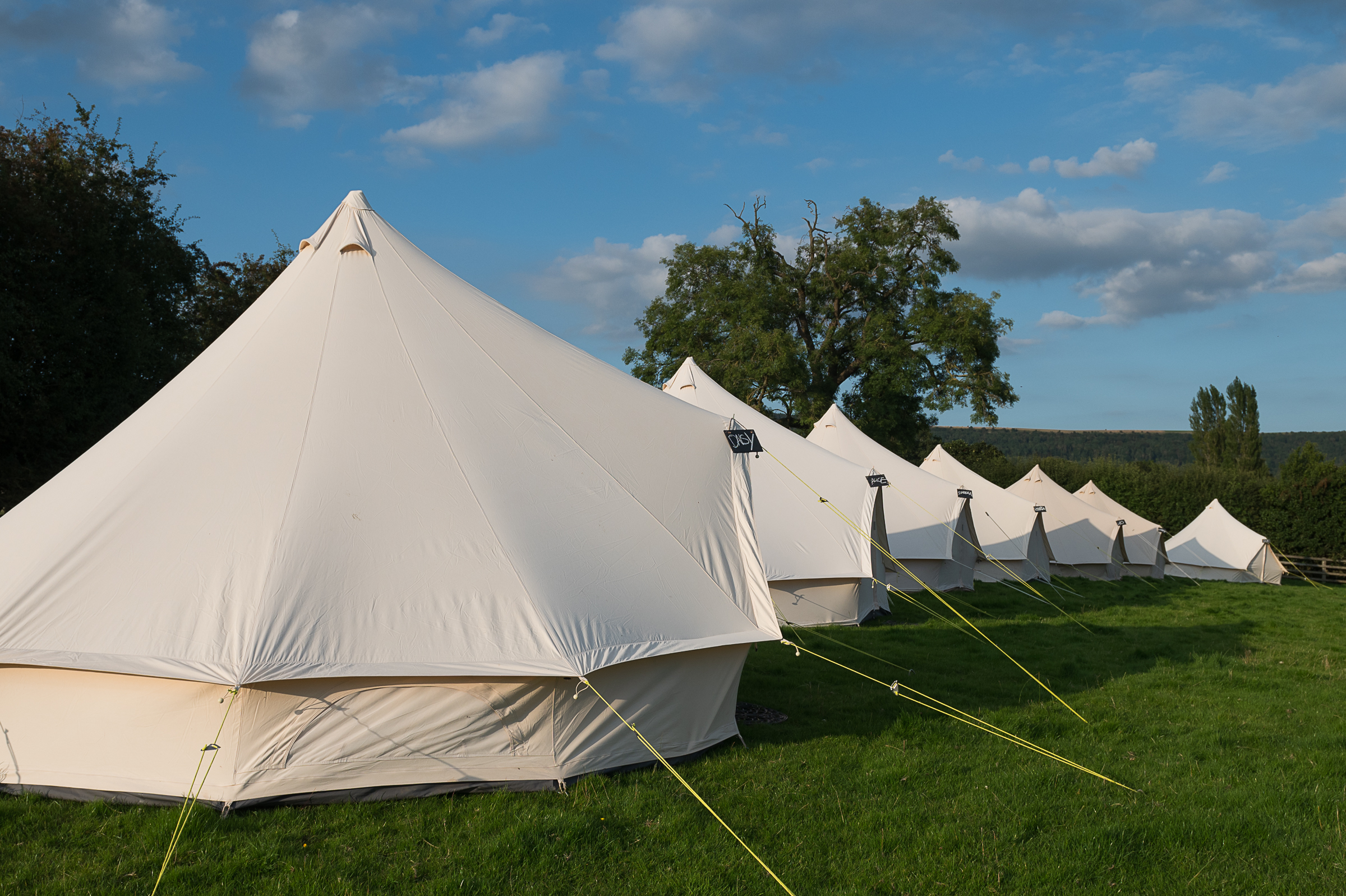 Bell tents pitched in a row at a festival site