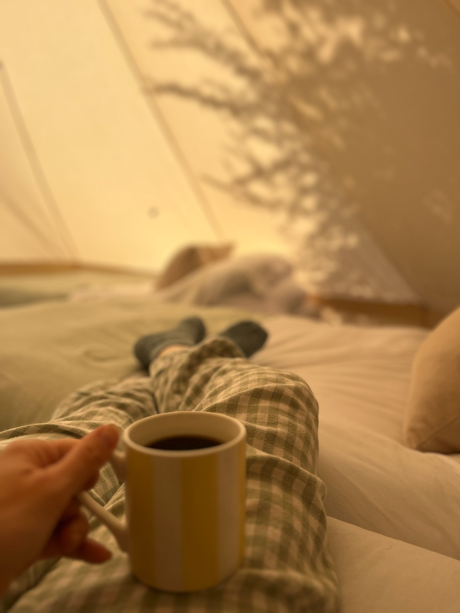 wedding glamping hire cosy inside